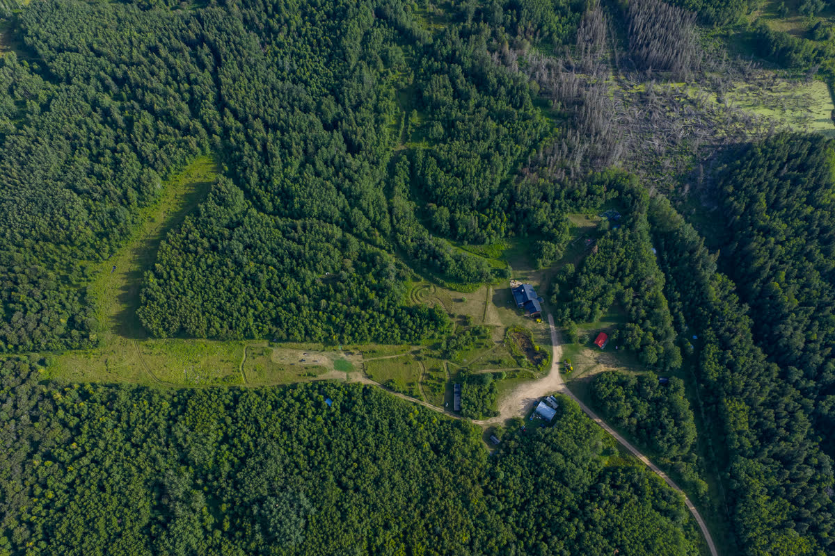 Trails cut through the forest across the property, seen from the air