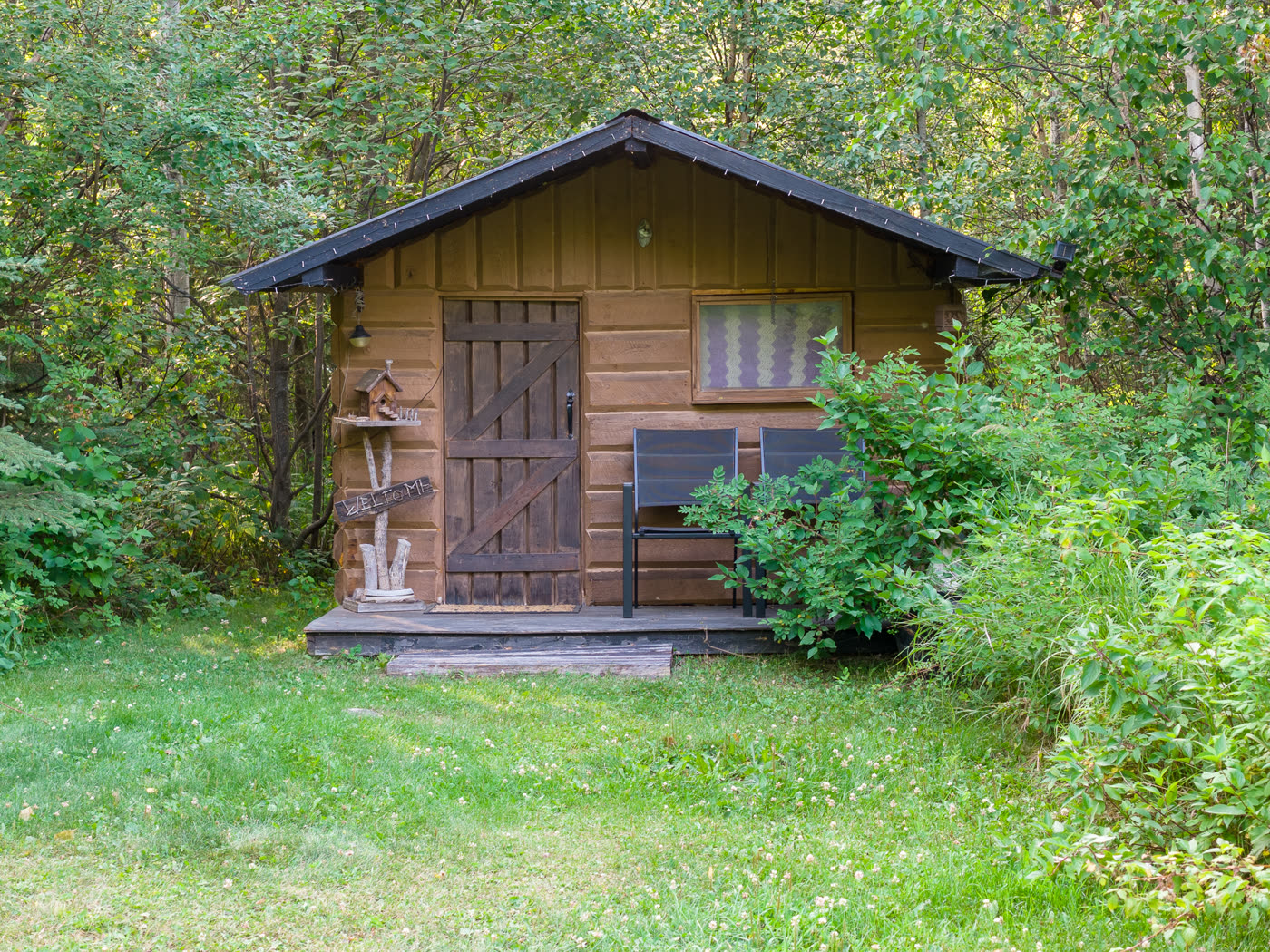 A bunkie among the trees, two chairs on its deck