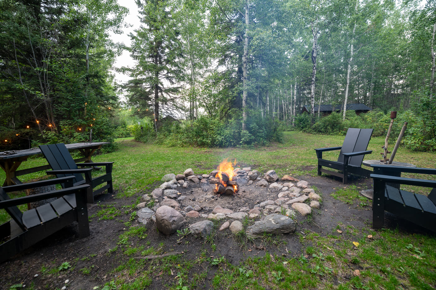 The firepit at dusk, string lights strung through the birches