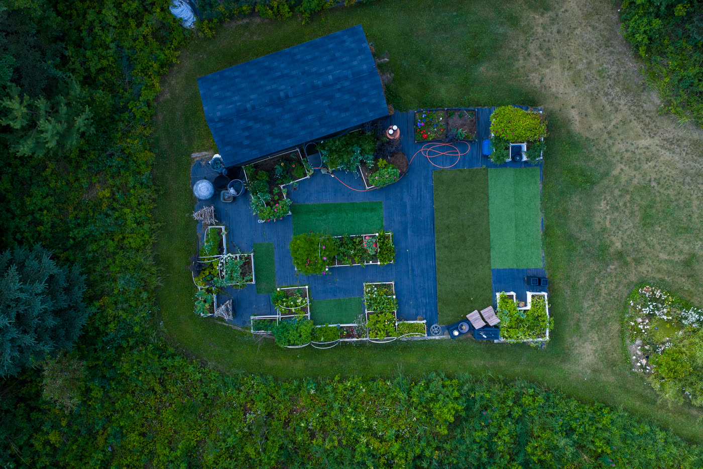 The vegetable garden from above, beds laid out in rows